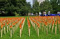 Picknick im Park   014